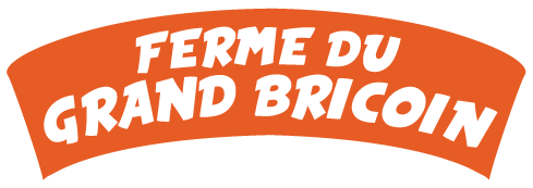 Logo BRICOIN